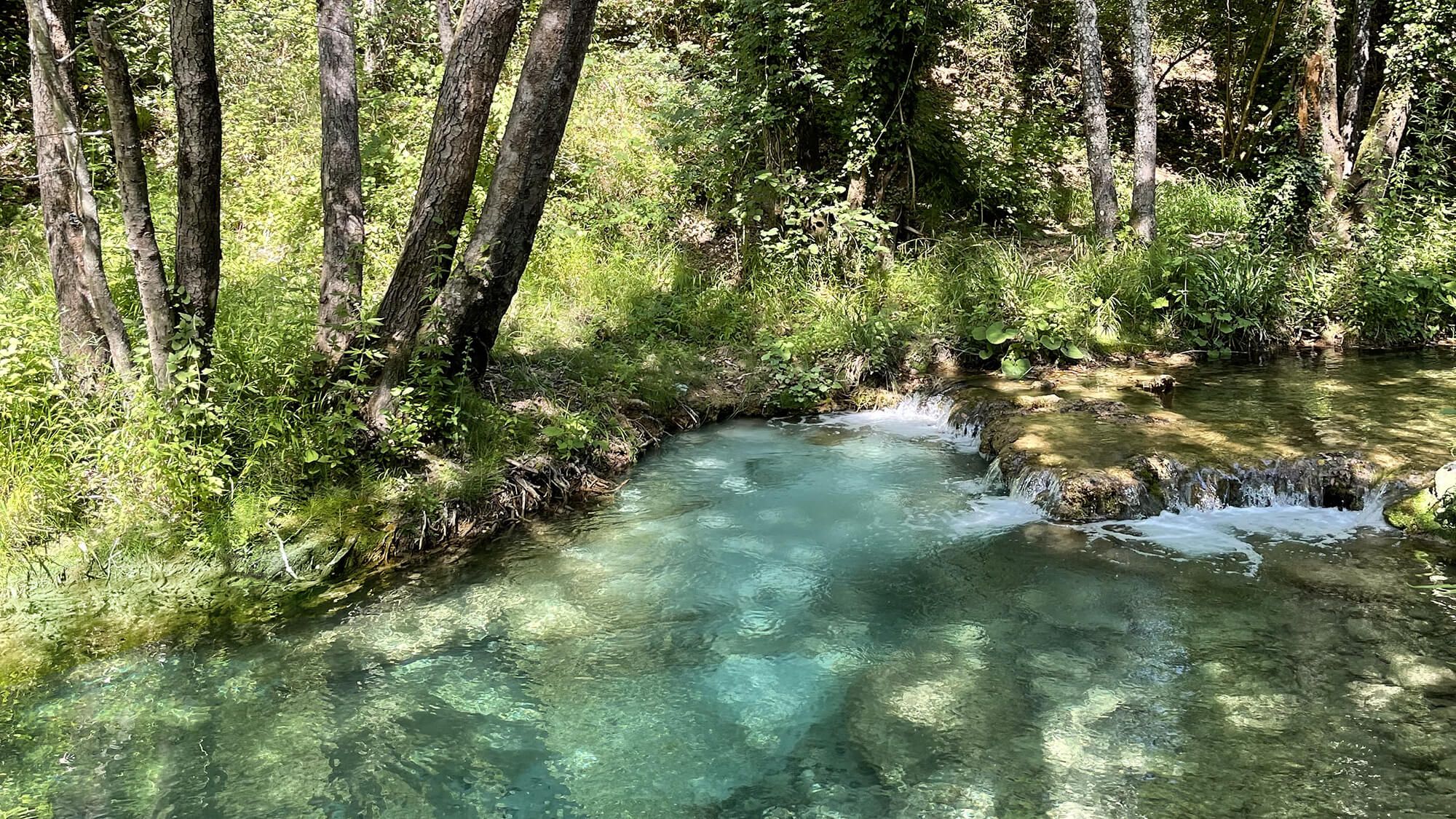 Borgo Santo Pietro - Into the wilderness