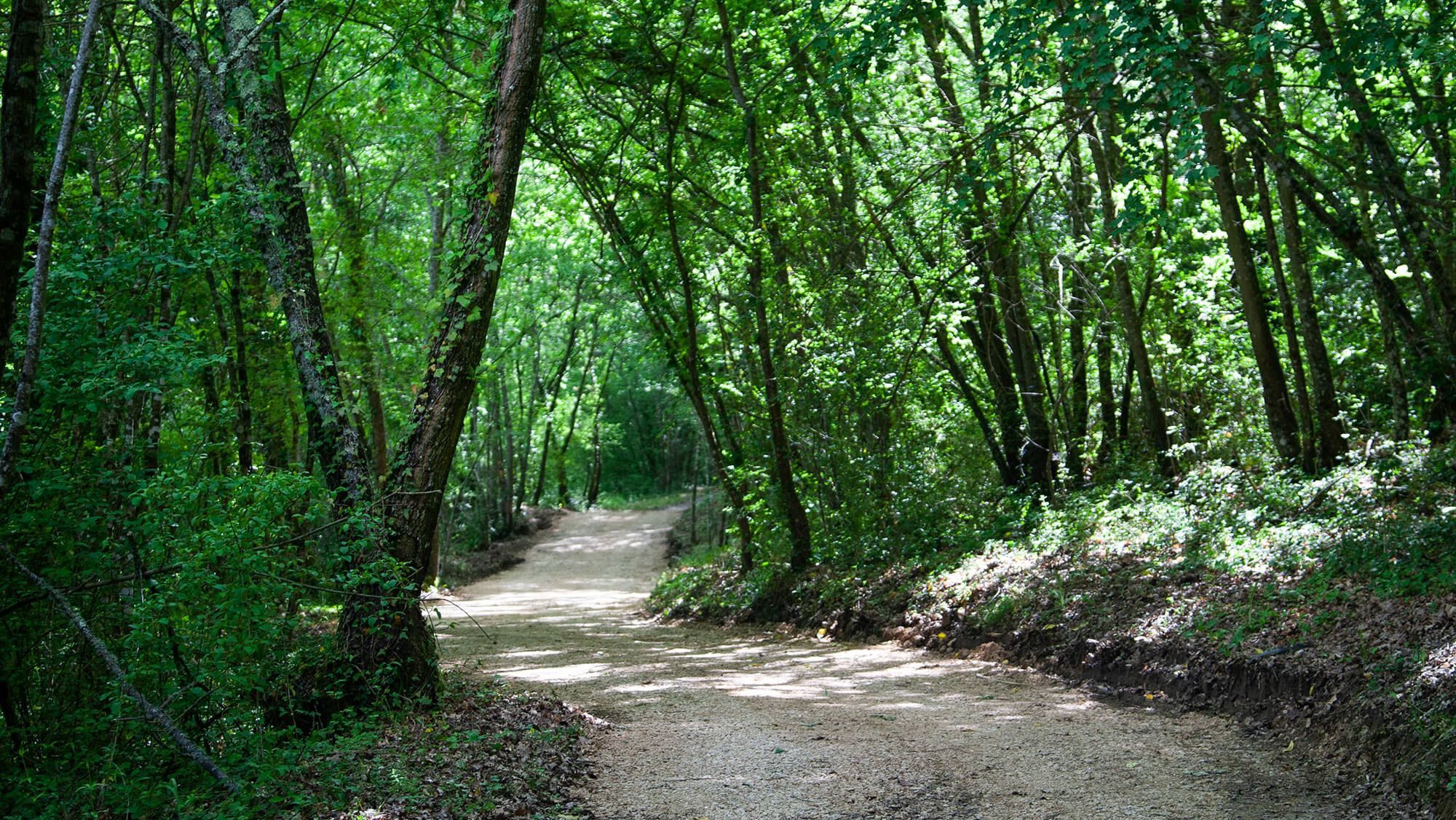 Borgo Santo Pietro - Into the wilderness