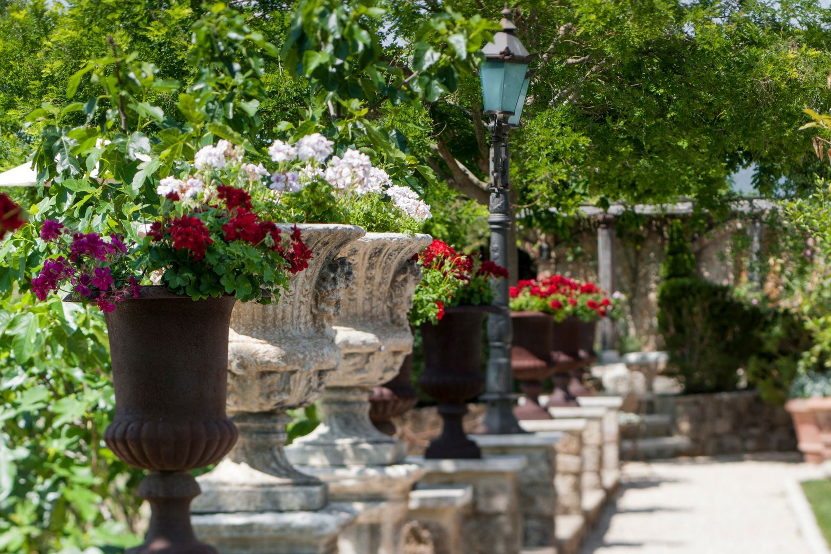 Borgo Santo Pietro - Garden tours