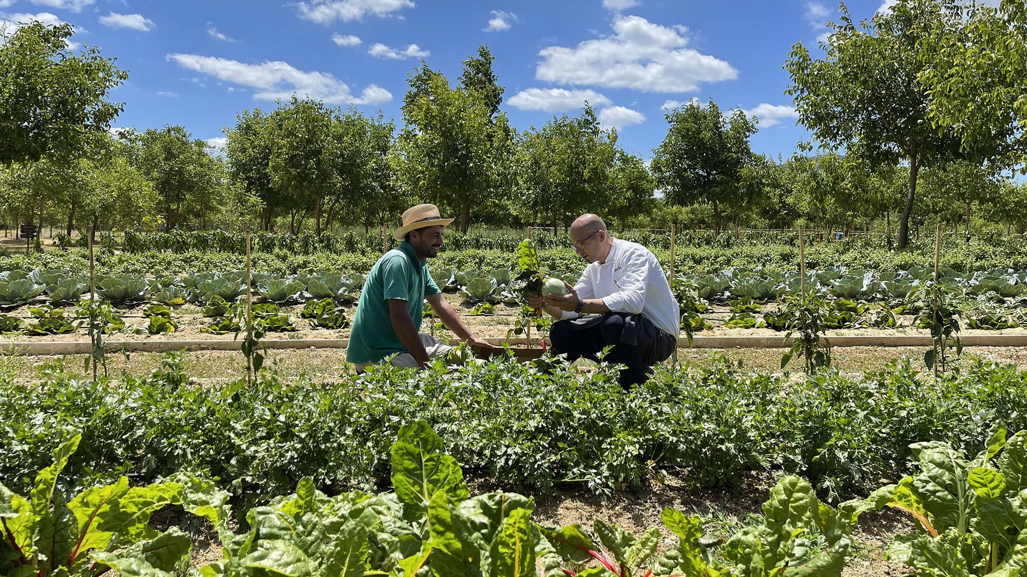 Borgo Santo Pietro - Culinary gardens