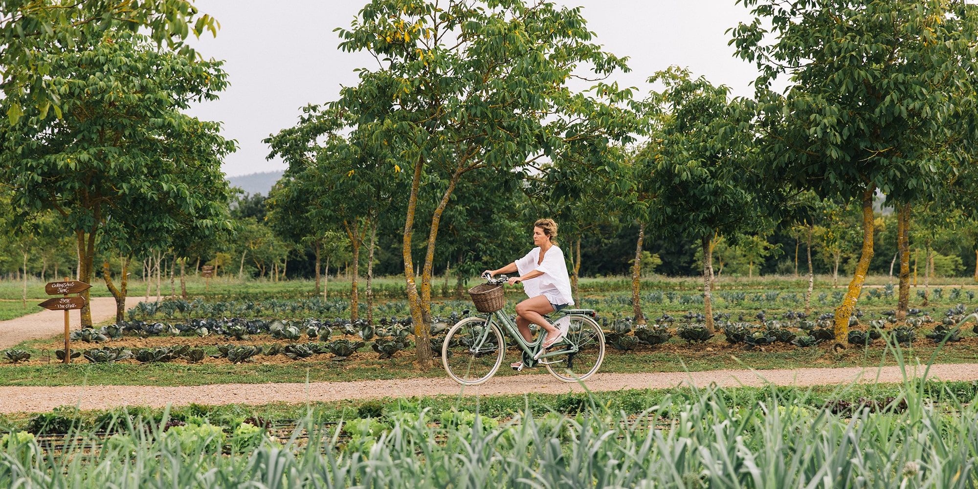 Borgo Santo Pietro - Culinary gardens