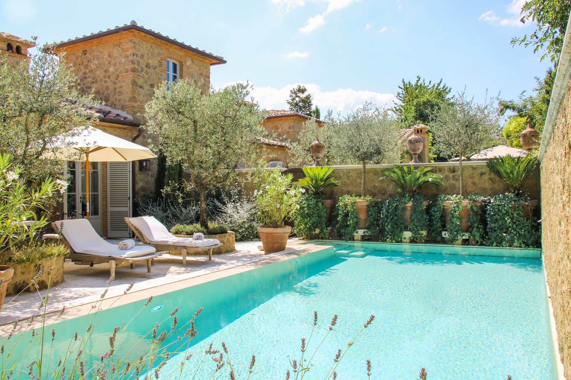 Borgo Santo Pietro pool suite
