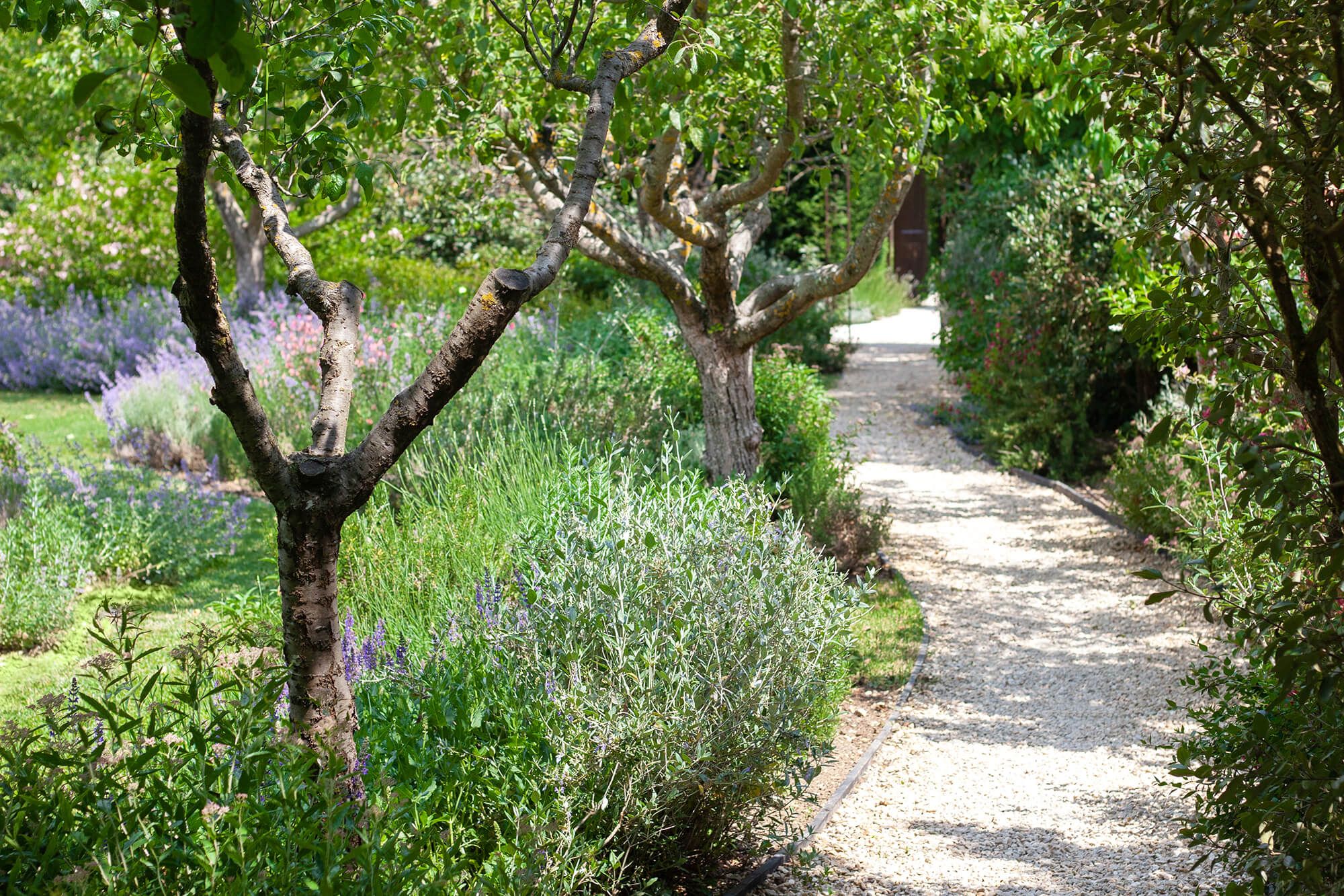 Borgo Santo Pietro - Garden tours