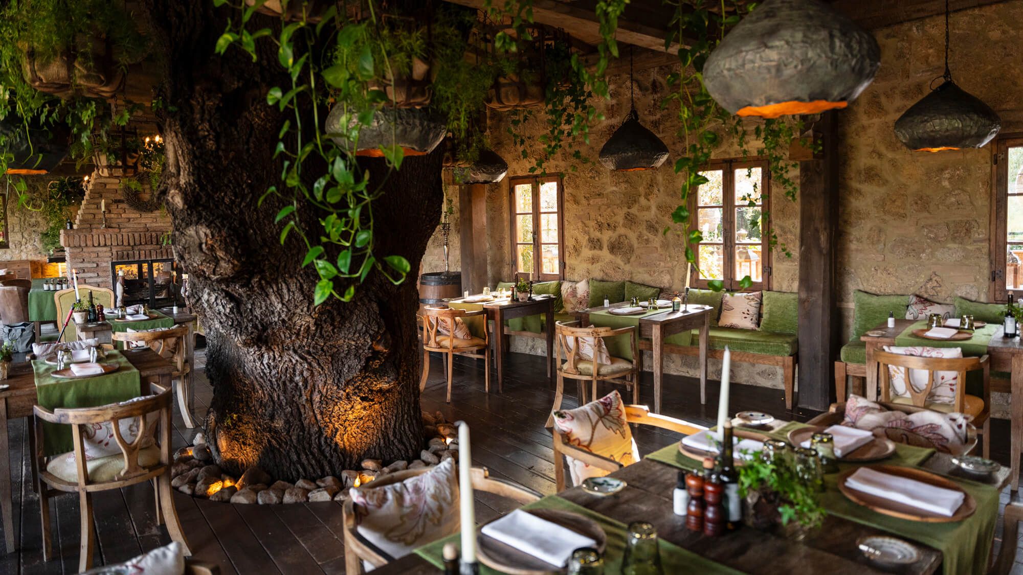 Borgo Santo Pietro - Trattoria sull'Albero