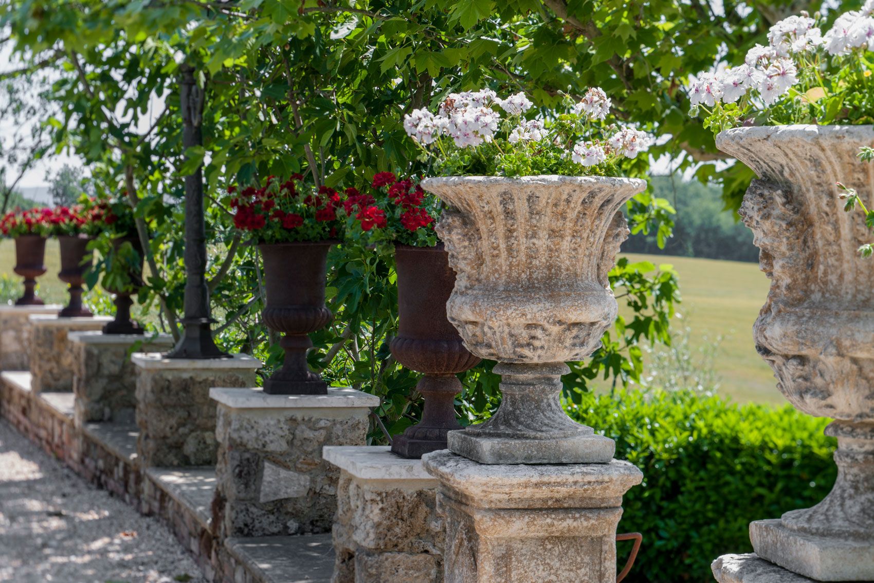 Borgo Santo Pietro - Our gardens