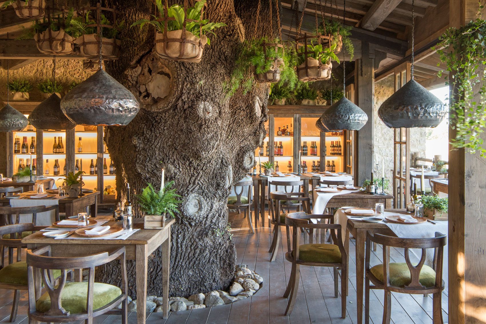 Trattoria sull'albero