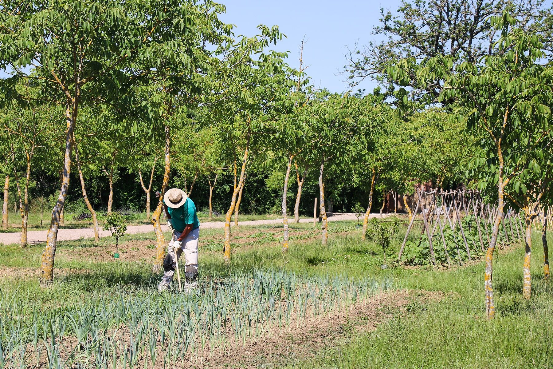 Borgo Santo Pietro organic farm