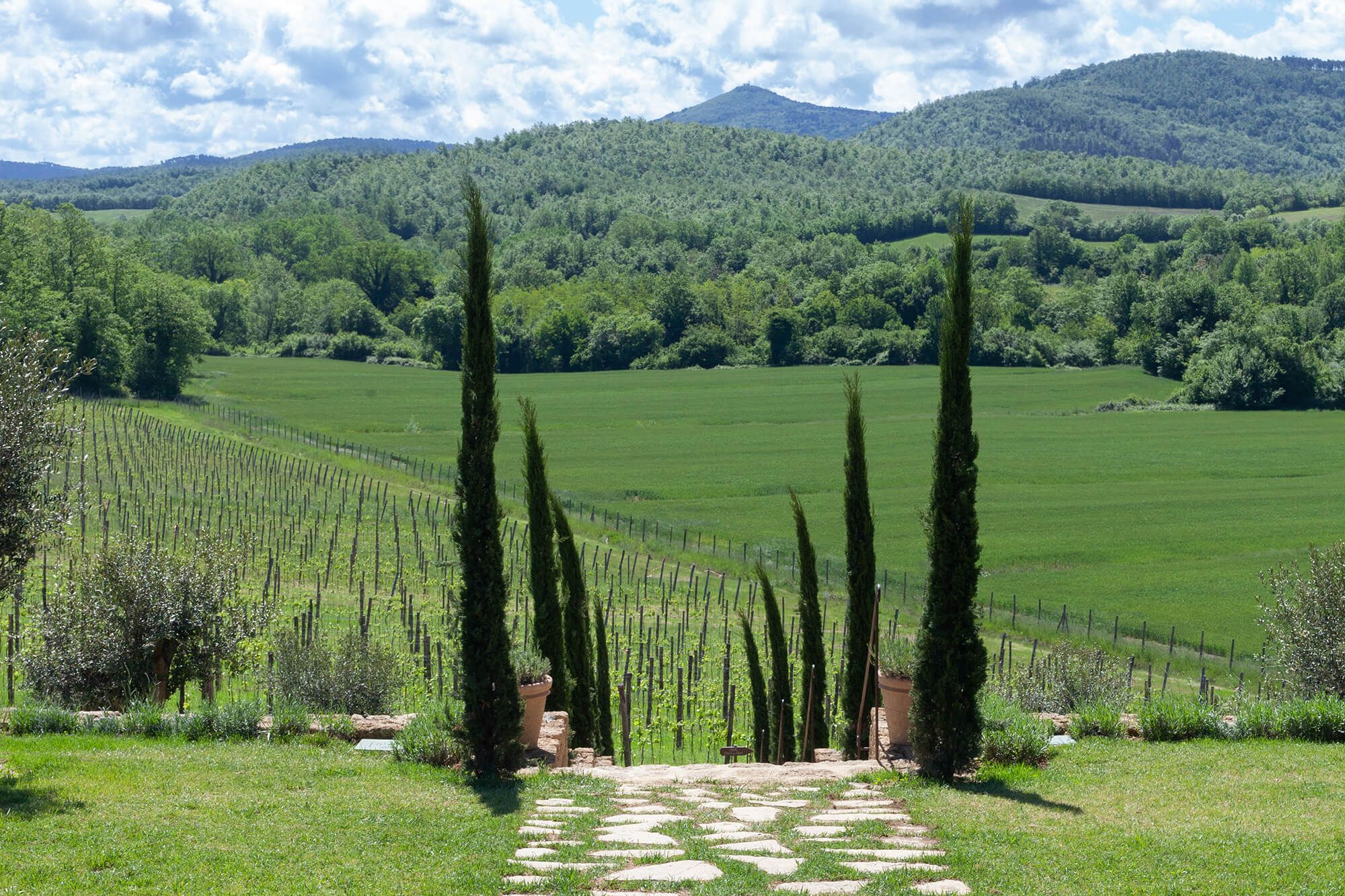 Borgo Santo Pietro - Garden tours