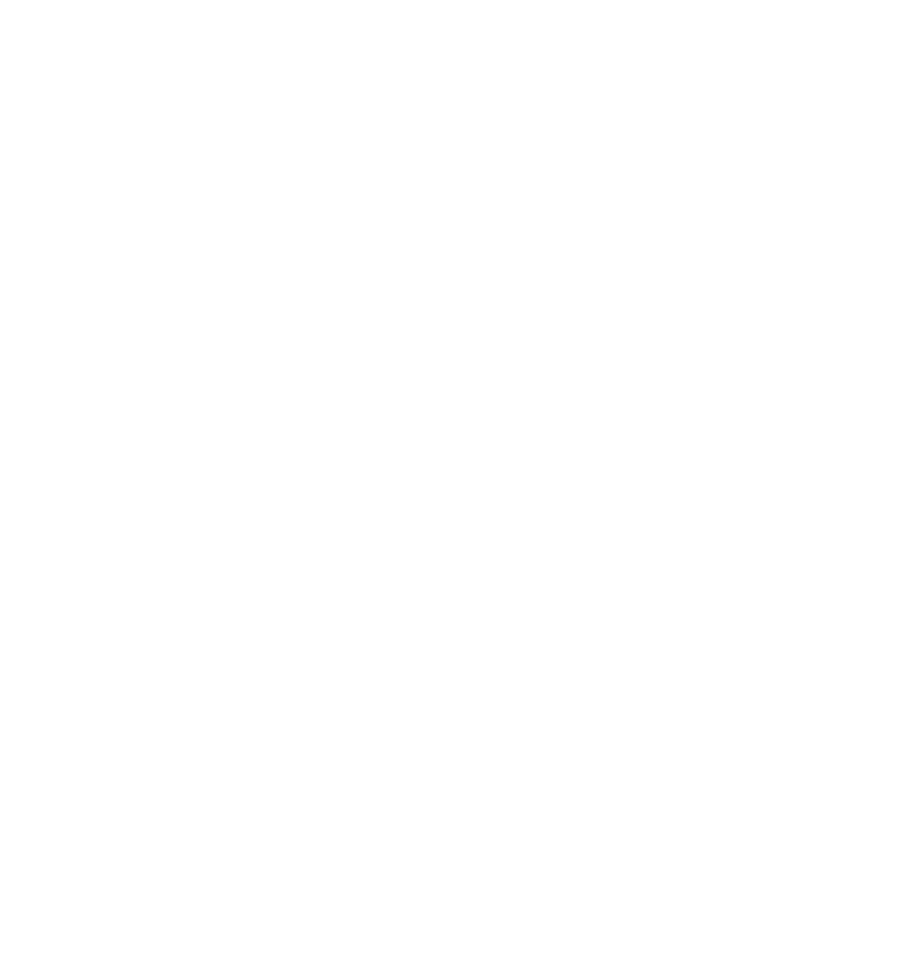 logo Borgo Santo Pietro