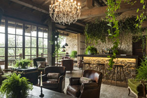 Trattoria Sull’Albero Bar