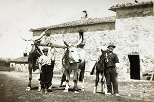 La nostra storia