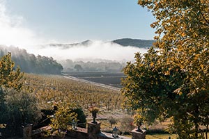 Autunno a Borgo
